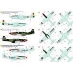 ACD 48034  Israeli Phantoms