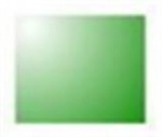 TR04 Transparentní lak zelený /lihová 10 ml/